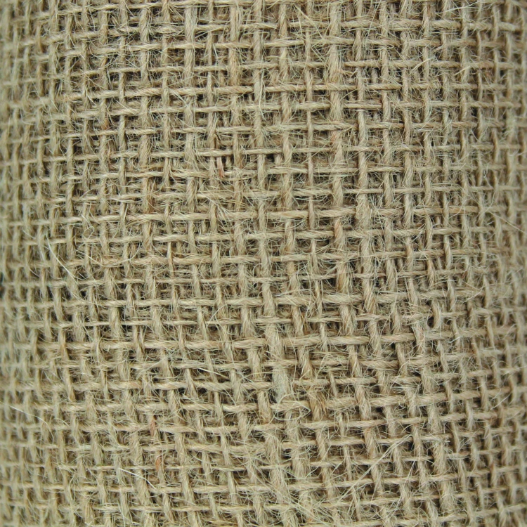 IMG_4784.JPG